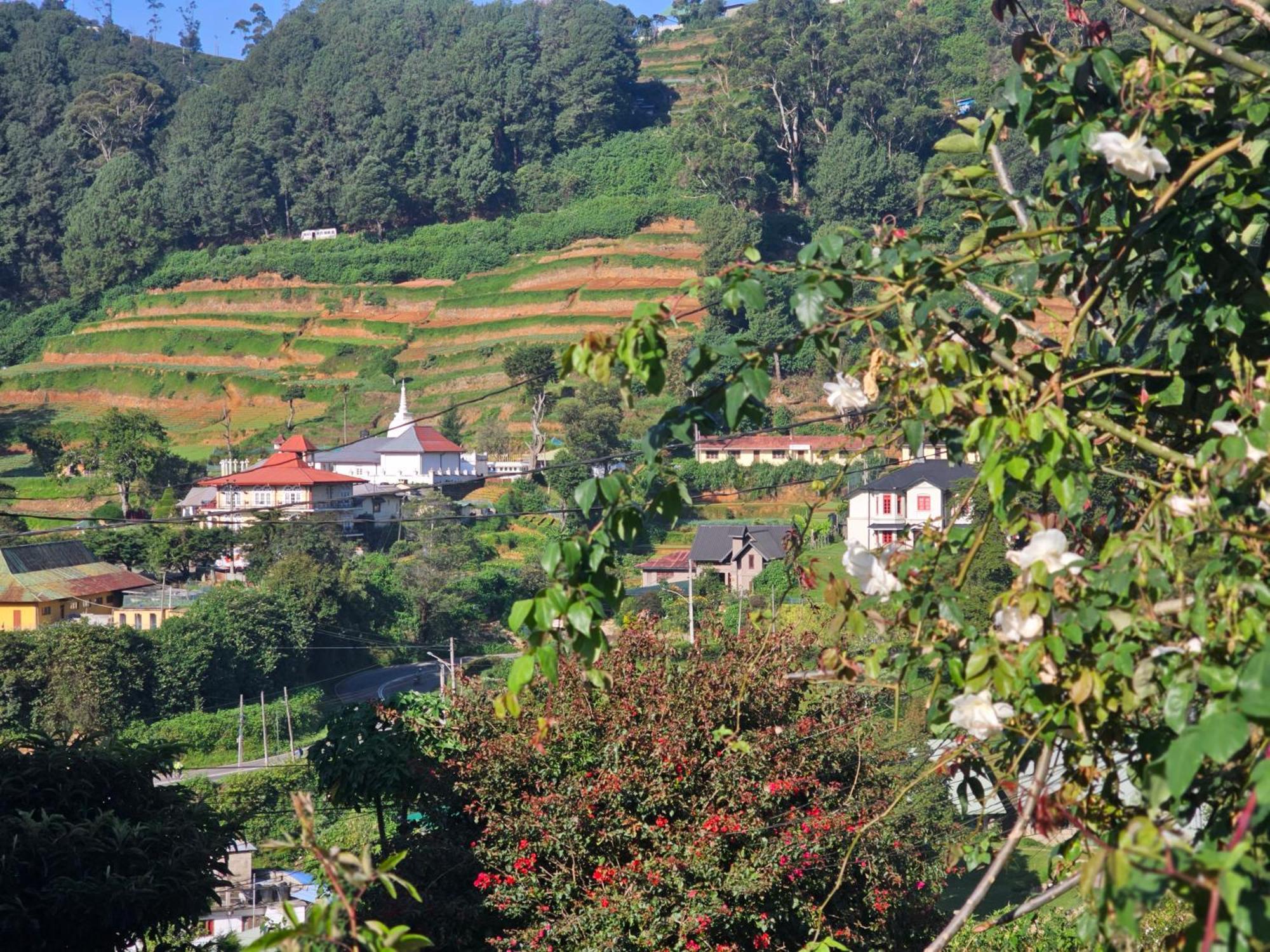 Haven Backpackers Hostel Nuwara Eliya Kültér fotó