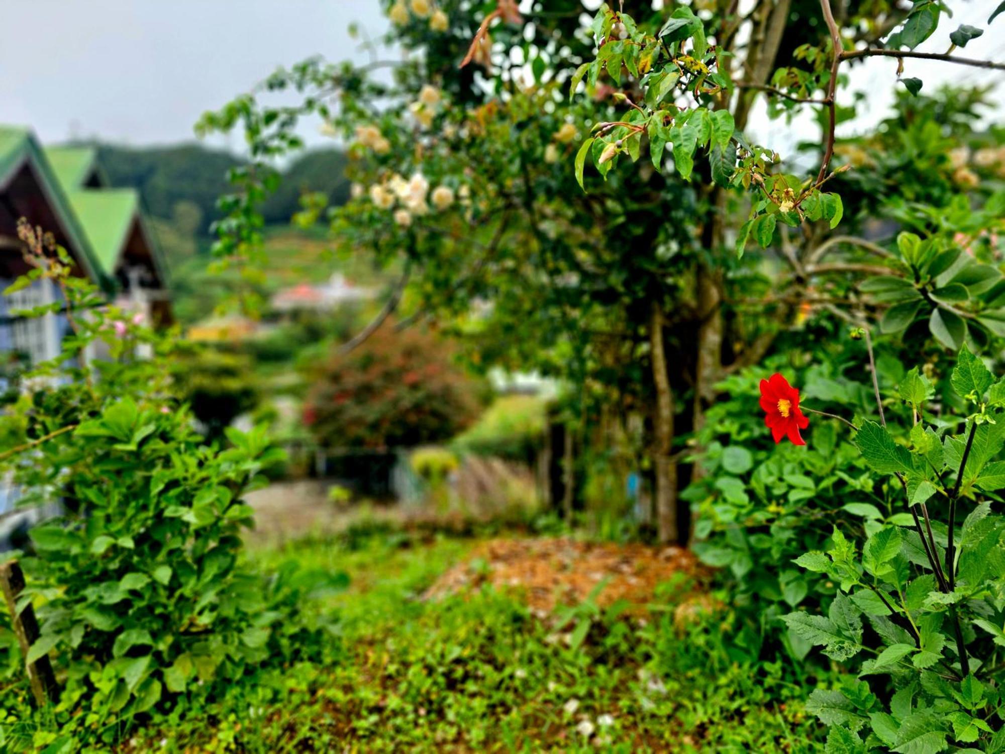 Haven Backpackers Hostel Nuwara Eliya Kültér fotó