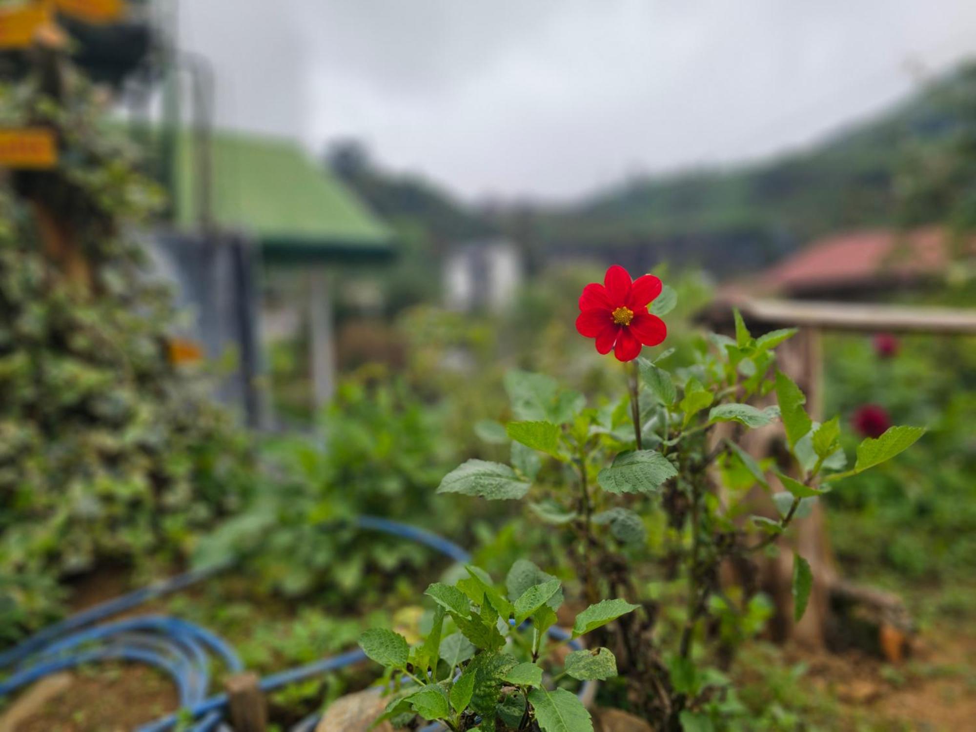 Haven Backpackers Hostel Nuwara Eliya Kültér fotó