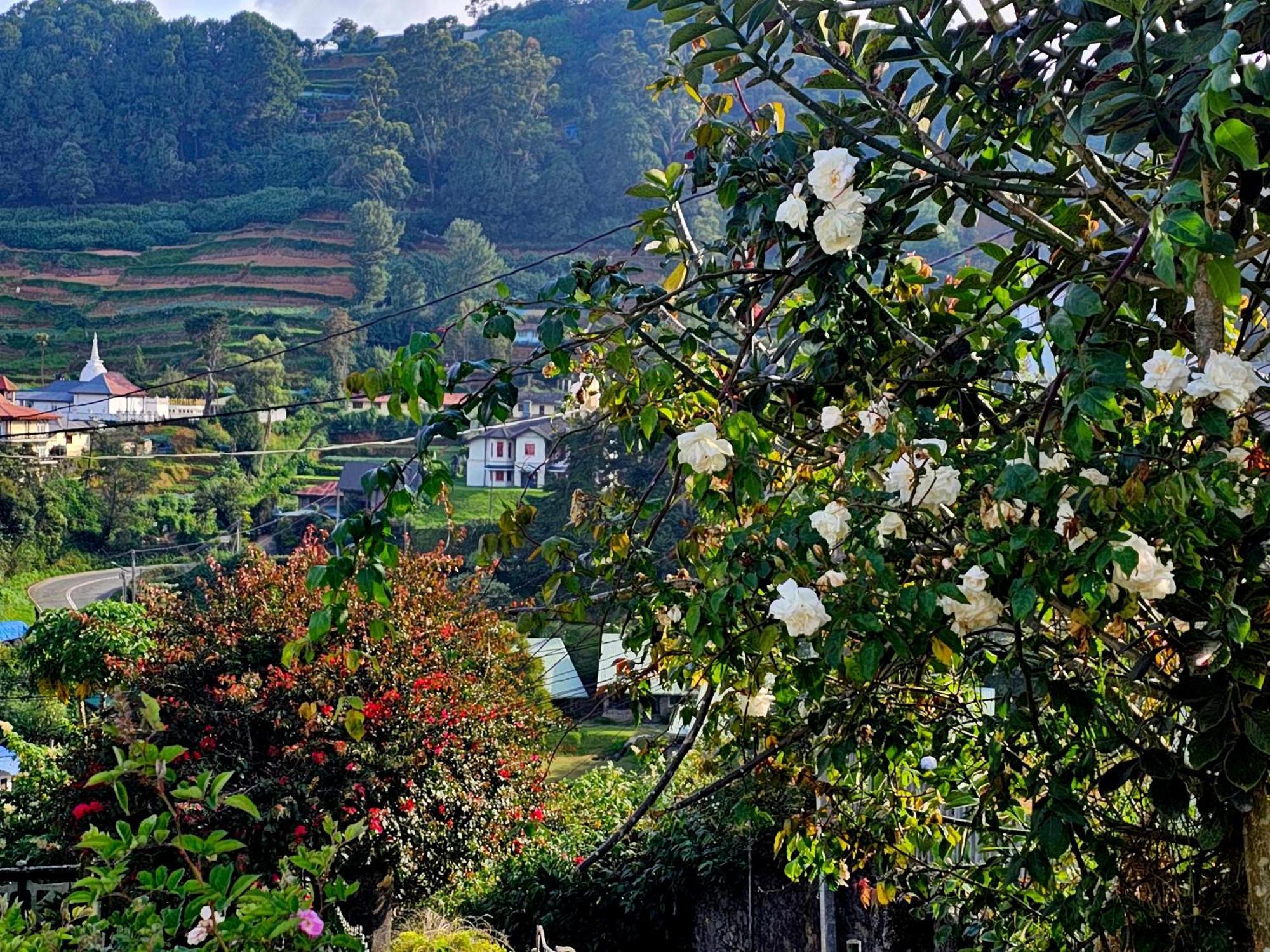 Haven Backpackers Hostel Nuwara Eliya Kültér fotó